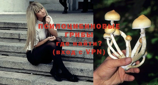 марки nbome Богородицк
