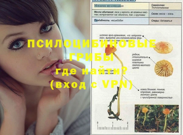 марки nbome Богородицк