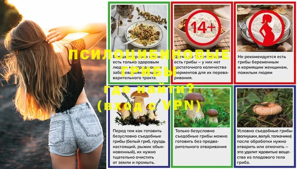 PSILOCYBIN Михайлов
