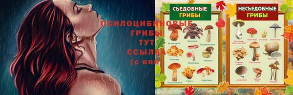 jwh Богданович